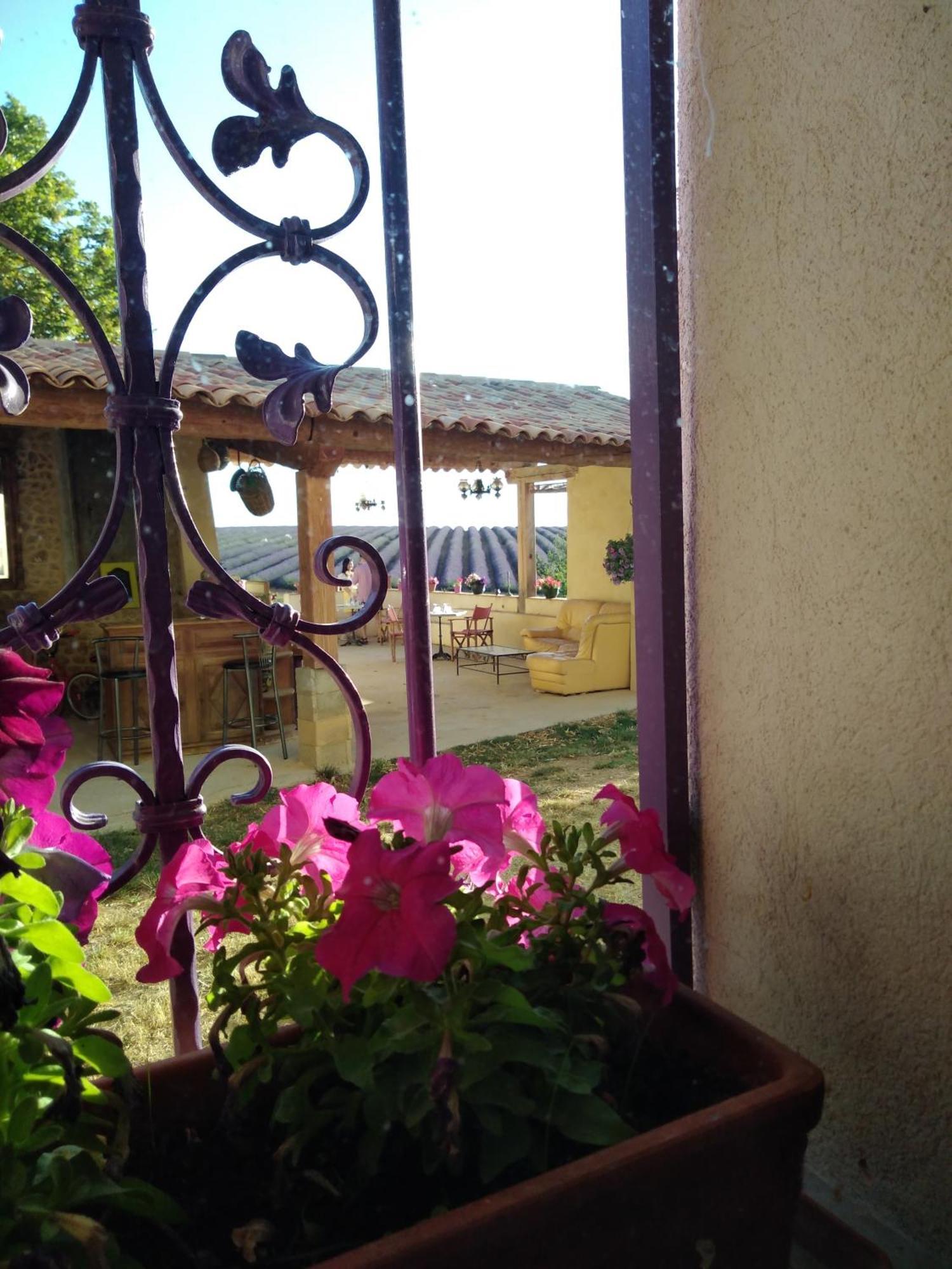 Chambre A La Ferme Au Milieu Des Lavandes Valensole Exterior photo